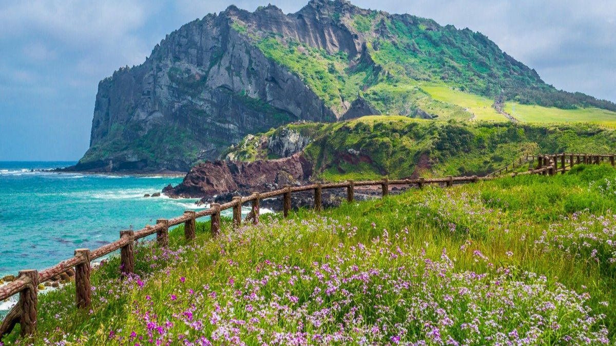 Cẩm nang du lịch đảo Jeju cần thiết cho năm 2023